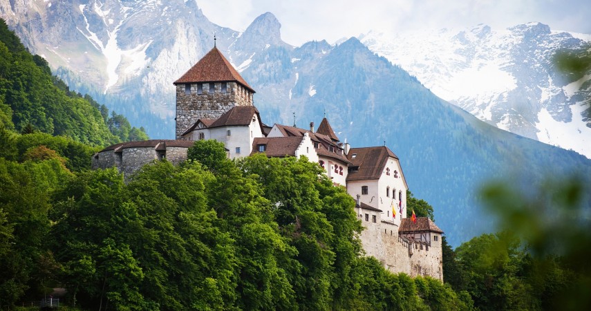 Туры со свободным временем в Лихтенштейн в январе 2025